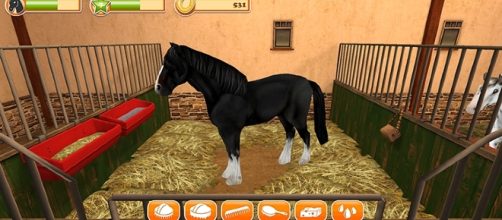 Enjoy the weekend with an awesome Horse game - play.google.com