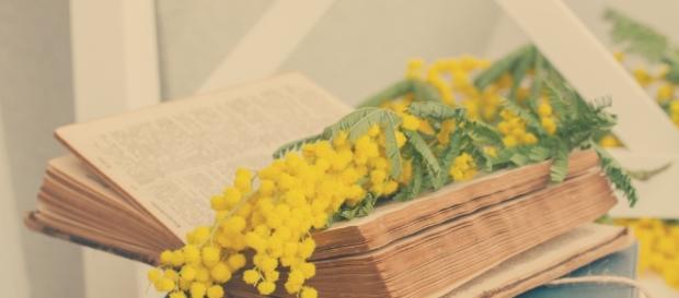 Libri festa della donna 2017 - blog.scritto.io Libri festa della donna 2017 - blog.scritto.io