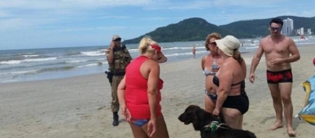 Olga passou por situação constrangedora por levar seu cão-guia à praia Olga passou por situação constrangedora por levar seu cão-guia à praia