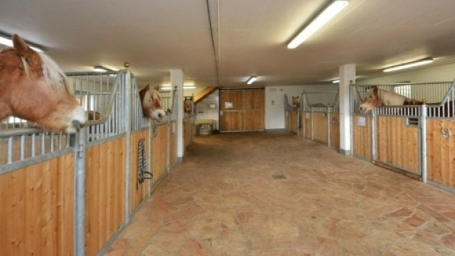 Incredibile caso di malasanit&agrave; nel Salento - foto agriturelmas.it