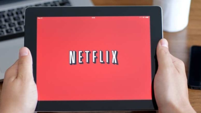 Netflix va coproduire une série avec Canal+, High tech - lesechos.fr