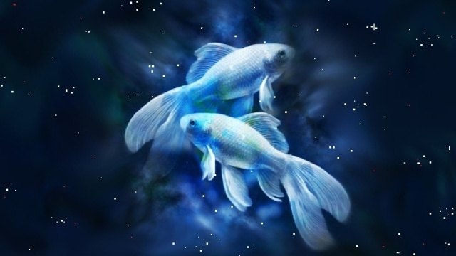 Oroscopo del giorno | previsioni di domani 9 marzo 2017 - Pesci al top.