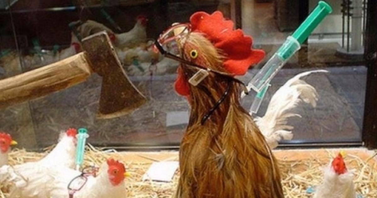 Bіrd flu spotted іn a Tеnnеѕѕее'ѕ Lіnсоln Cоuntу chicken fаrm