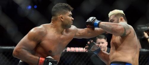 UFC 209: Alistair Overeem is victorious by knockout | photo credit - mmajunkie.com