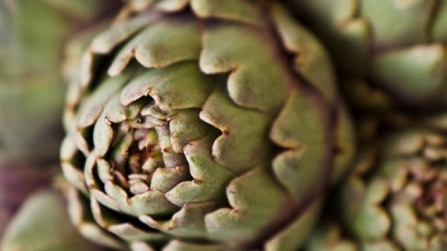 Gambo e foglie esterne del carciofo: non rifiuti, ma risorse.