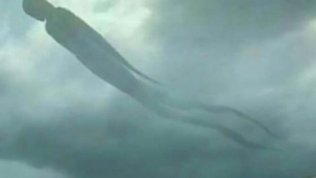 L'immagine che ha fatto il giro del mondo