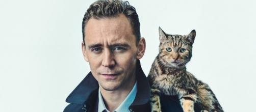 Tom Hiddleston: one cool cat | ShortList Magazine - shortlist.com