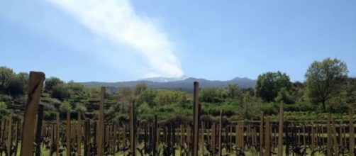 Benanti Vineyards, Mount Etna Sicily