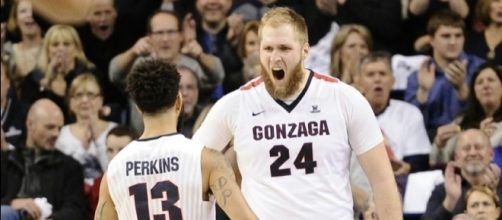 College Basketball Power Rankings: Gonzaga Is Better Than Its ... - theringer.com