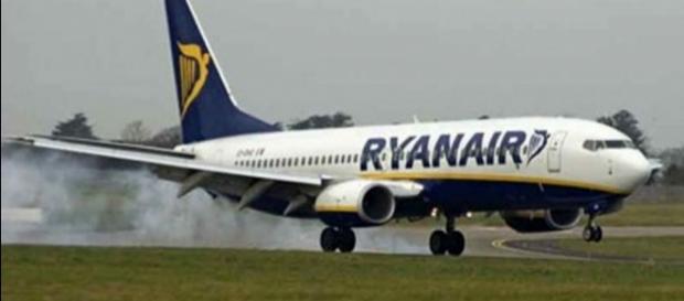 Scende dall'aereo dopo una lite: passeggeri si terrorizzano Scende dall'aereo dopo una lite: passeggeri si terrorizzano