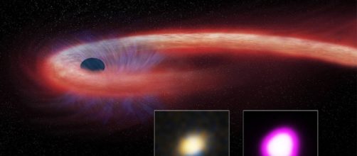 Destroyed Star Rains Onto Black Hole, Winds Blow It Back | NASA - nasa.gov