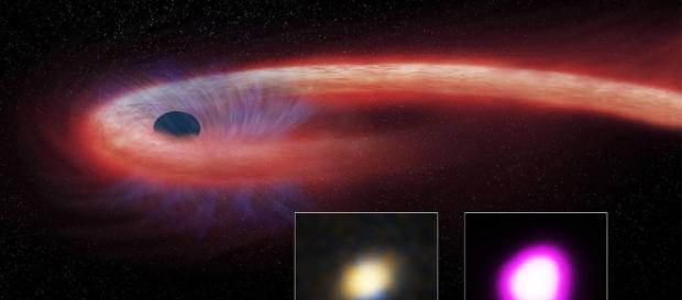 Destroyed Star Rains Onto Black Hole, Winds Blow It Back | NASA - nasa.gov Destroyed Star Rains Onto Black Hole, Winds Blow It Back | NASA - nasa.gov