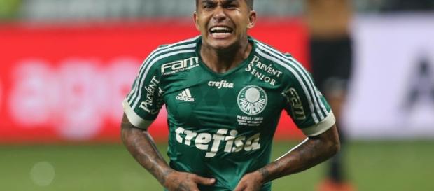 Tucuman x Palmeiras: ao vivo na TV Tucuman x Palmeiras: ao vivo na TV