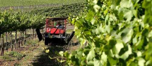 L'Australie moins sévère que prévu avec les jeunes travailleurs ... - bfmtv.com