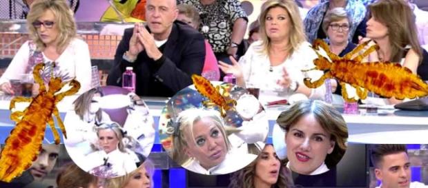 Descubren piojos en directo a una colaboradora de 'Sálvame' | Amenzing - amenzing.com Descubren piojos en directo a una colaboradora de 'Sálvame' | Amenzing - amenzing.com