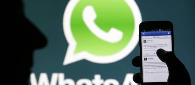WhatsApp | NTR Zacatecas .com - ntrzacatecas.com WhatsApp | NTR Zacatecas .com - ntrzacatecas.com