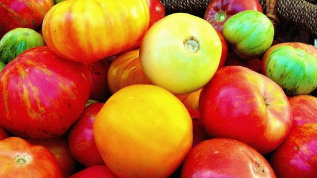 Mamma vegana aggredita perch&egrave; figlia di 7 anni vegetariana