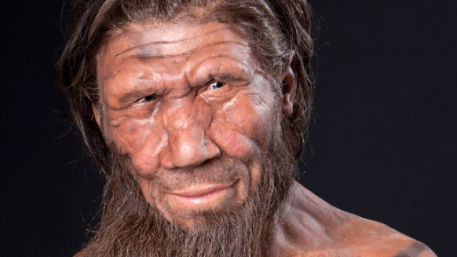 Ricostruzione 3d del volto di un Uomo di Neanderthal
