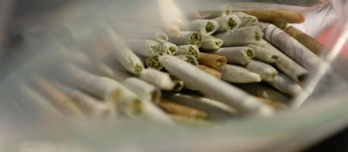 Pot Advocates Plan to Hand Out 4,200 Free Joints on Inauguration ... - go.com