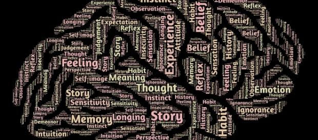 Cerveau - Intelligence via Pixabay CC BY Cerveau - Intelligence via Pixabay CC BY
