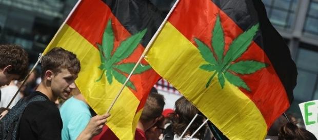 Life in Berlin: Georg Wurth On Legalized Medical Marijuana | NPR ... - nprberlin.de Life in Berlin: Georg Wurth On Legalized Medical Marijuana | NPR ... - nprberlin.de