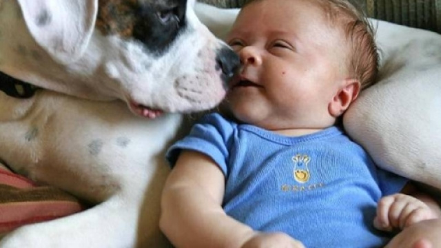 Nascere con un cane? Molto salutare