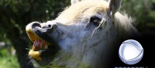 Cavalo se solta e provoca tumulto em gravação - Google Cavalo se solta e provoca tumulto em gravação - Google