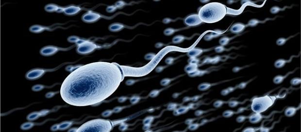 Esta nova técnina poderá combater muitas doenças Esta nova técnina poderá combater muitas doenças