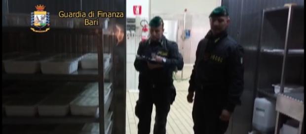 Sequestro caseificio 3 (foto: GDF) Sequestro caseificio 3 (foto: GDF)
