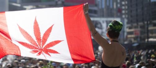 Canadian government has tabled bill to legalize marijuana / photo: BN Photo Library