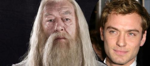 Jude Law interpretará a Dumbledore de joven - planoinformativo.com
