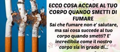 ECCO COSA ACCADE AL TUO CORPO QUANDO SMETTI DI FUMARE ... - pianetadonna.it