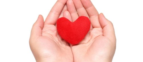 Nine Steps to Decrease Your Heart Disease Risk - HealthNOW Medical ... - healthnowmedical.com