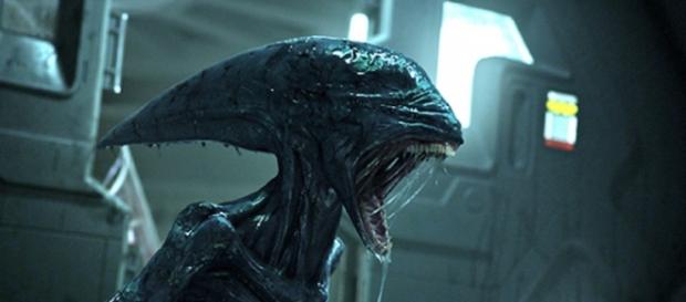 Everything you need to know about "Alien: Covenant" - heroichollywood.com Everything you need to know about "Alien: Covenant" - heroichollywood.com
