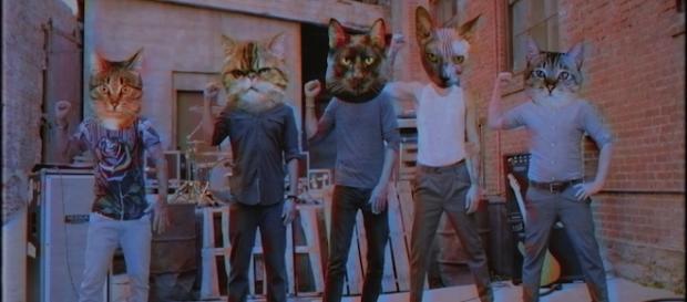 Incubus publicó por Youtube nuevo vídeo oficial. Incubus publicó por Youtube nuevo vídeo oficial.