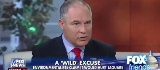 Scott Pruitt on jaguars and text apps. Screencap/Fox & Friends Scott Pruitt on jaguars and text apps. Screencap/Fox & Friends