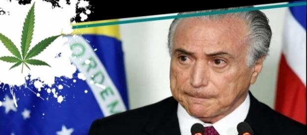 Seis motivos para se discutir a legalização da maconha no Brasil Seis motivos para se discutir a legalização da maconha no Brasil