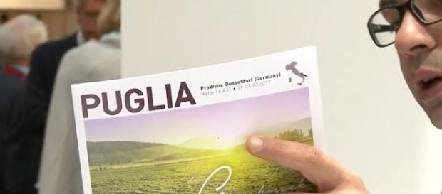 Vino pugliese, vitigno cileno: errore al Vinitaly Vino pugliese, vitigno cileno: errore al Vinitaly