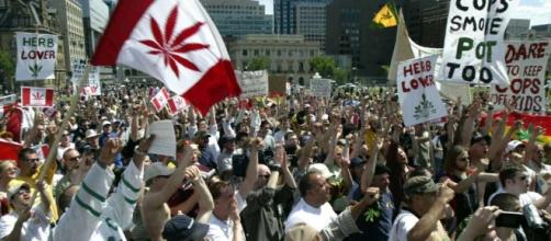 Official: Canada expected to legalize marijuana by July 2018 - San ... - mysanantonio.com
