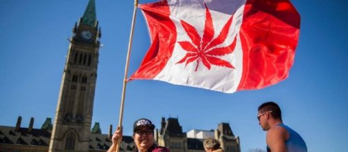 Canada looks to legalize recreational pot by July 2018 | The Japan ... - japantimes.co.jp