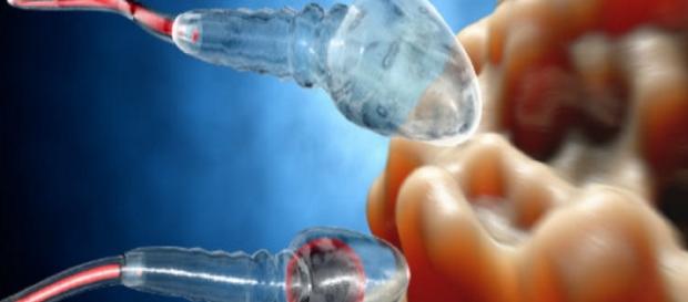 Espermatozoide pode ser usado em tratamento - Google Espermatozoide pode ser usado em tratamento - Google