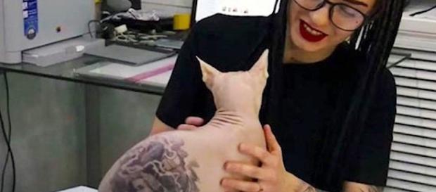 Muitos questionaram a atitude da moça ao tatuar o gato Muitos questionaram a atitude da moça ao tatuar o gato