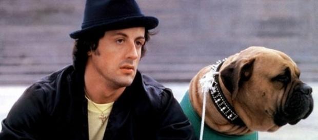 Silvestre Stallone emocionou várias pessoas Silvestre Stallone emocionou várias pessoas