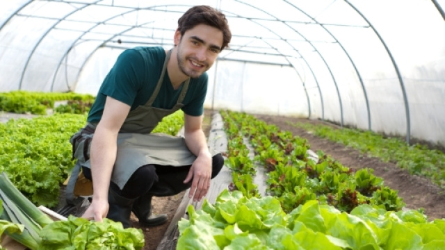 Banca della terra - Non sprecare - nonsprecare.it