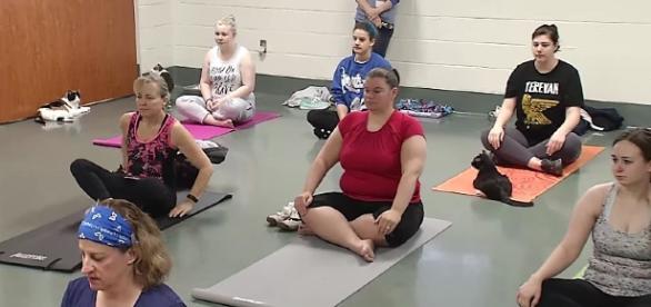 Yoga Kettering Ohio Infoyoga Co Yoga With Cats On Offer At Kettering Ohio Animal Shelter