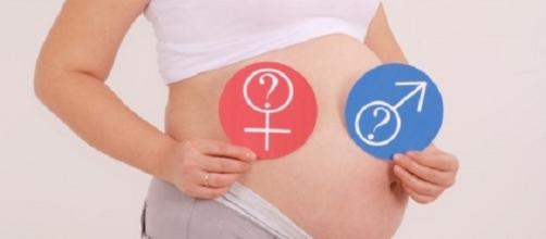 Utilize essas 5 técnicas para descobrir o sexo do bebê sem ultrassom (Foto: Reprodução)