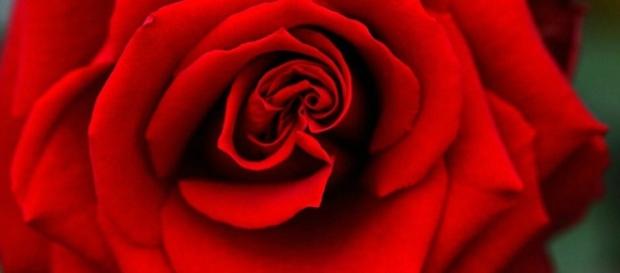 Bachelor' Announcement Spoilers: Mike Fleiss Teases Major Reveal ... - inquisitr.com Bachelor' Announcement Spoilers: Mike Fleiss Teases Major Reveal ... - inquisitr.com