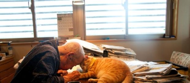 Veja a emocionante história de Jiji e seu gatinho Veja a emocionante história de Jiji e seu gatinho