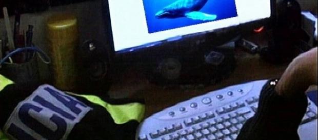 Jogo da Baleia Azul chega ao Facebook Jogo da Baleia Azul chega ao Facebook