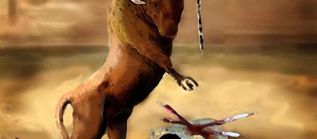 El movimiento animalista humaniza al animal, es decir que para defenderlo le atribuye cualidades de lo que desprecia: el ser humano El movimiento animalista humaniza al animal, es decir que para defenderlo le atribuye cualidades de lo que desprecia: el ser humano